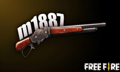 M1887 FF